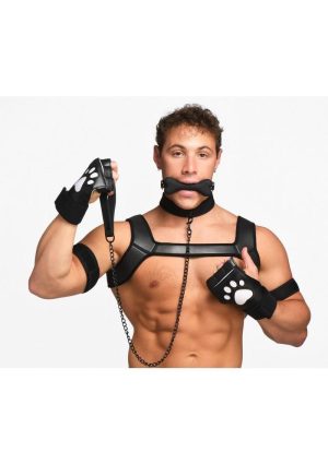 Master Series Deluxe Pup Arsenal Set - Black