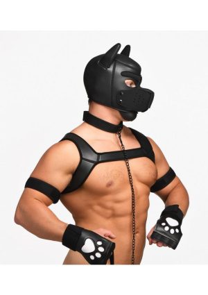 Master Series Deluxe Pup Arsenal Set - Black