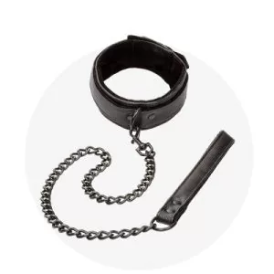 Collars & Leashes