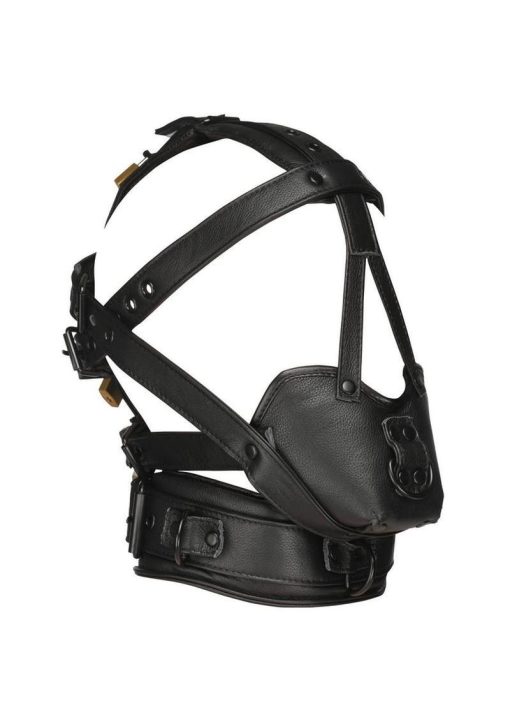 Master Series Leather Head Harness with Muzzle - Black